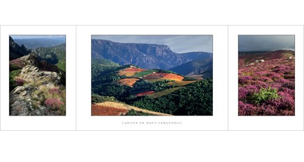 HL.01 - Caroux (Haut-Languedoc)