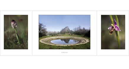 CS.06 - Larzac - Lavogne et orchidées