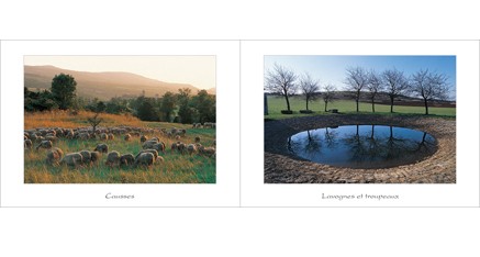 CS.2 - Lavognes et troupeaux
