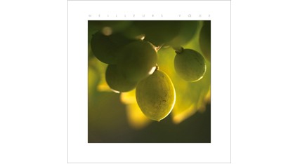ES.01 - Raisins de juillet