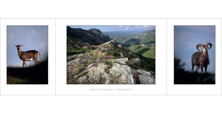 HL.02 - Caroux (Haut-Languedoc)