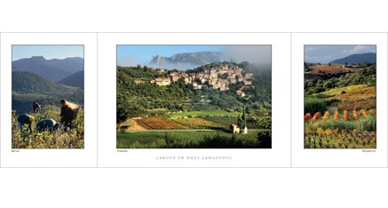 HL.03 - Haut-Languedoc (vignobles)