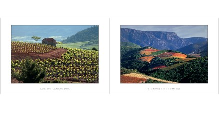 L.62 - AOC du Languedoc - Vignoble de lumière