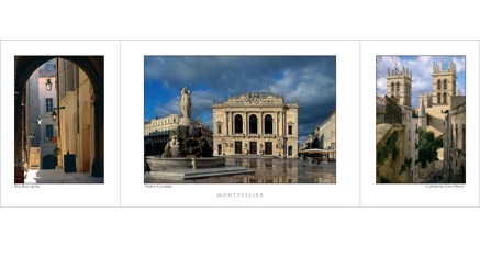 M.13 - Montpellier