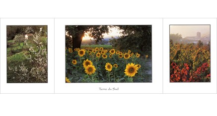 S.16 - Terre du Sud - Triptyque