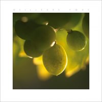 ES.01 - Raisins de juillet