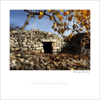 Terrasses du Larzac