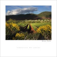 Terrasses du Larzac