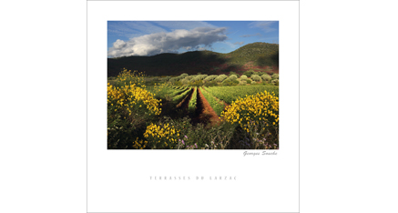 ET.07 - Terrasses du Larzac