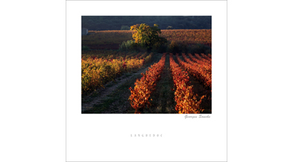 ET.08 - Languedoc